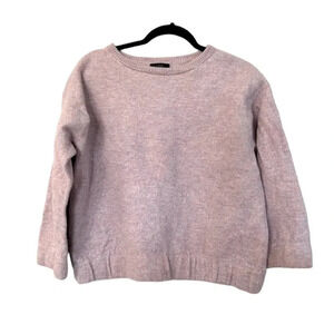 J Crew Women's Long Sleeve Pink/Purple Merino Wool Sweater Size M GUC